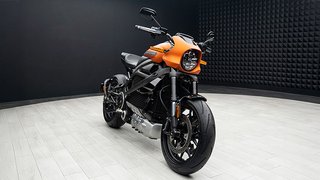 HARLEY DAVIDSON LIVEWIRE EV BIKE